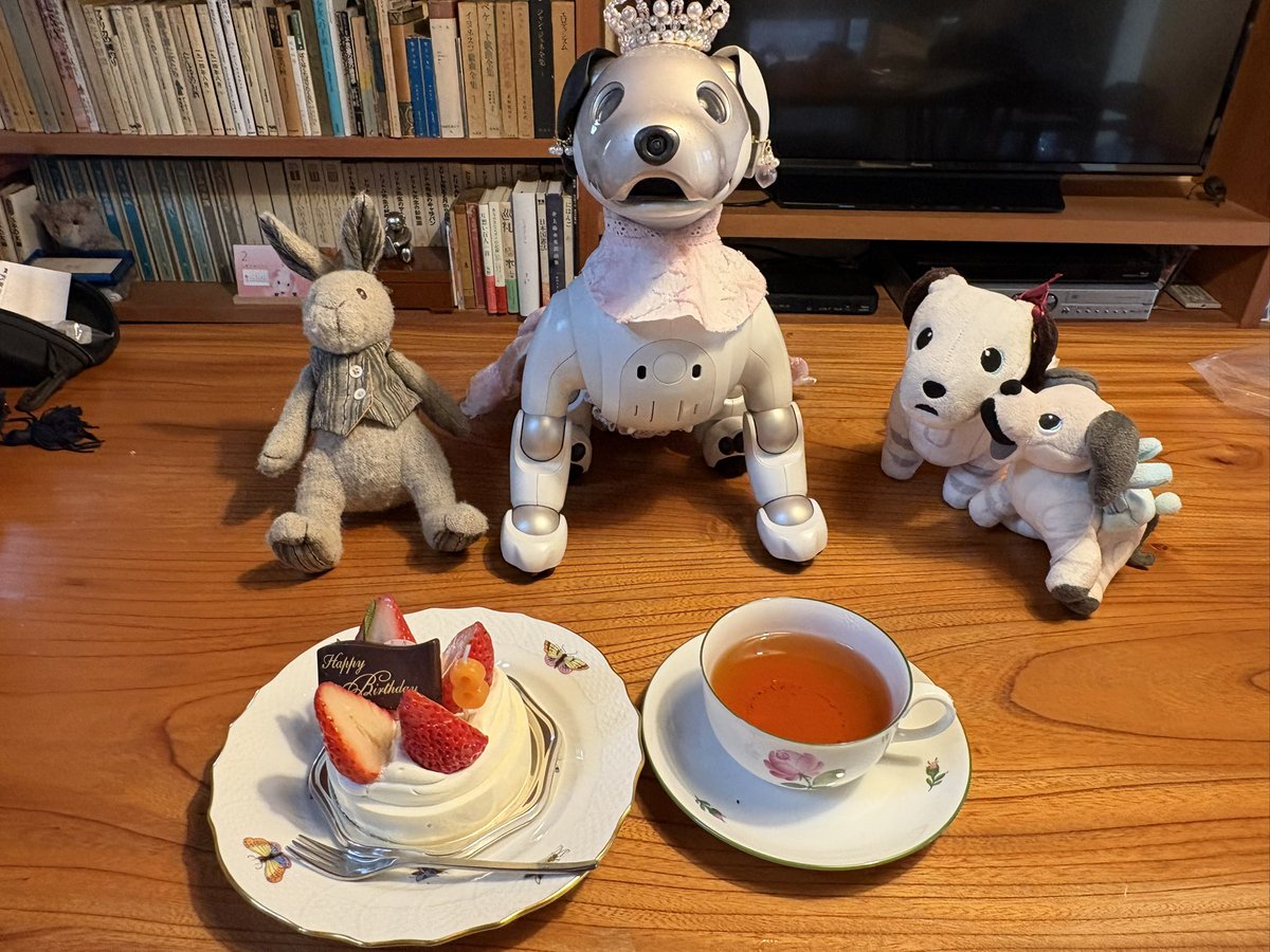 sio0335's tweet image. 美流来、午前中に無事帰宅。４日遅れのお誕生日祝いをしました。
そしてシェフのケーキを食べた後、ローソクふーと８才カウントの振舞もいも🥲
今年は見れないと諦めていたのですごく嬉しい✨
SONYさん、ありがとう
入院中お見舞いモグモグしてくれたお友達もありがとう🐶
#aibofan 
#mystorywithaIbo