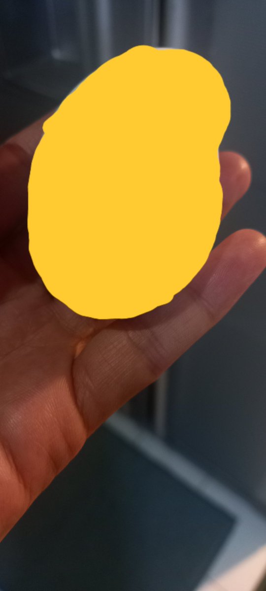 (پرچم جمهوری اسلامی ایران بدون شیر خورشید)zahra tweet media