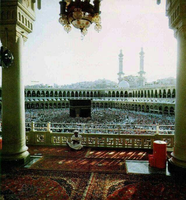 Hatice Kübra (@muhtezir) on Twitter photo 