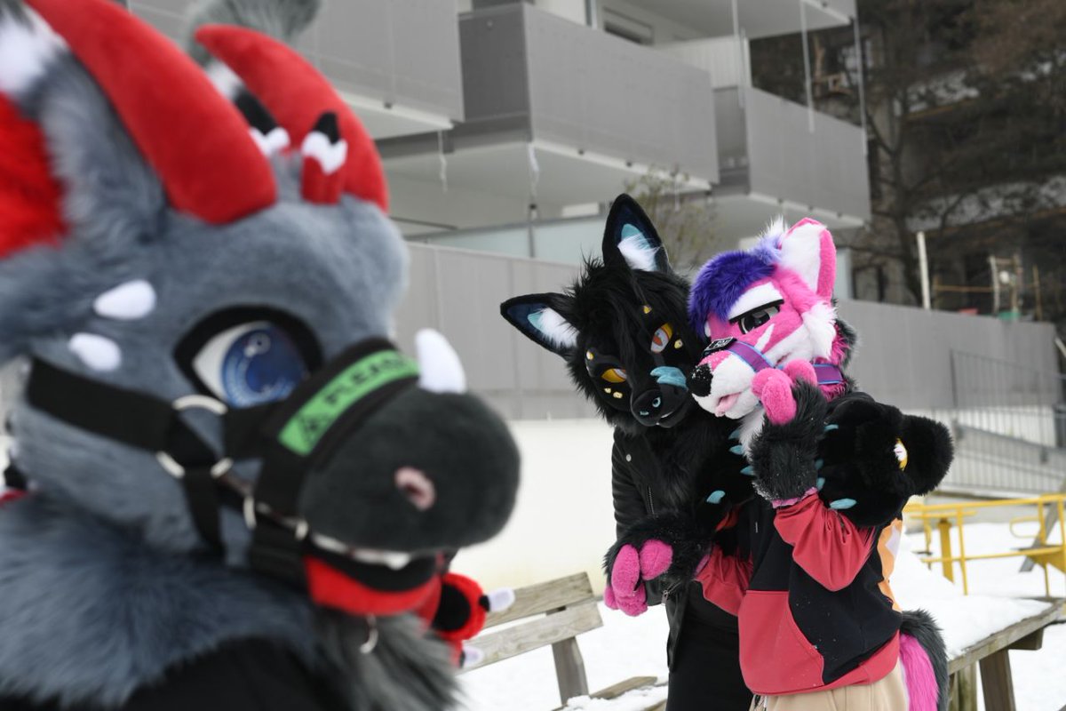 Markus Bruckmüller tweet media