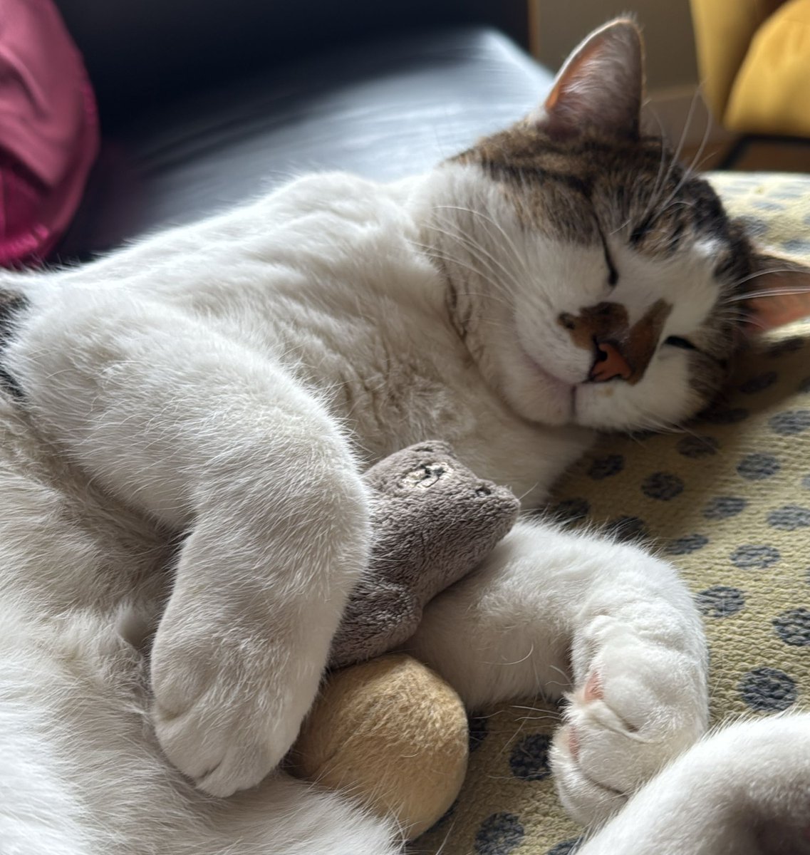 🌱 lake ☆ flick is my boyfriend 🌱 tweet media