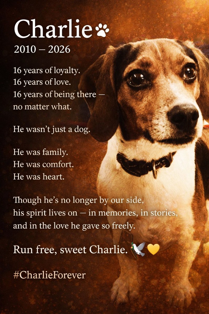 TrumpCharlieDog's tweet photo. Charlie ๐พ
2010 โ 2026
Forever loyal. Forever loved. Forever family.
Run free, sweet Charlie. ๐๏ธ๐
#CharlieForever #MAGADog #USD1Dog https://t.co/c1t0XXpRaP