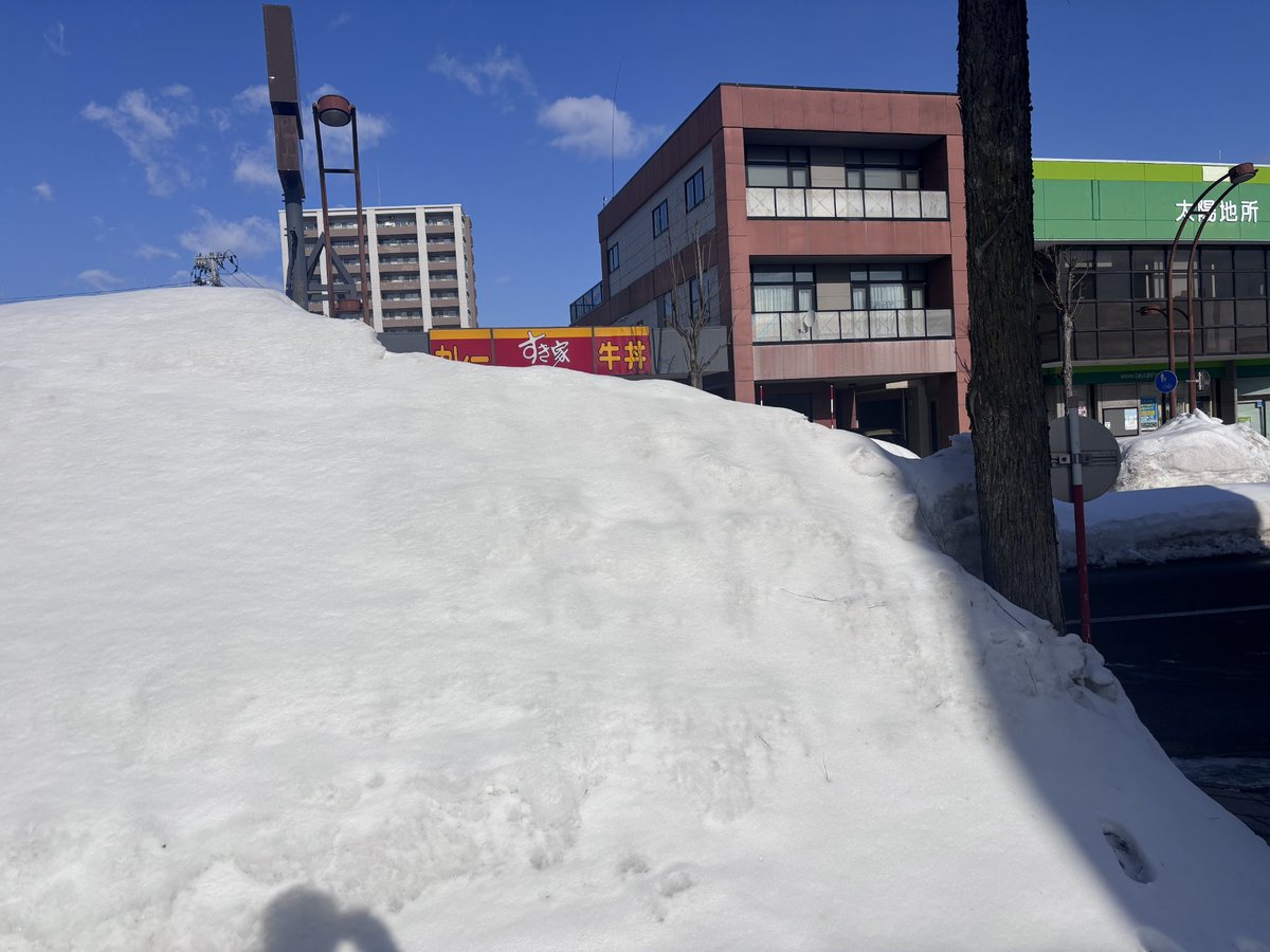だいぶ溶けた雪の高さがこれですか