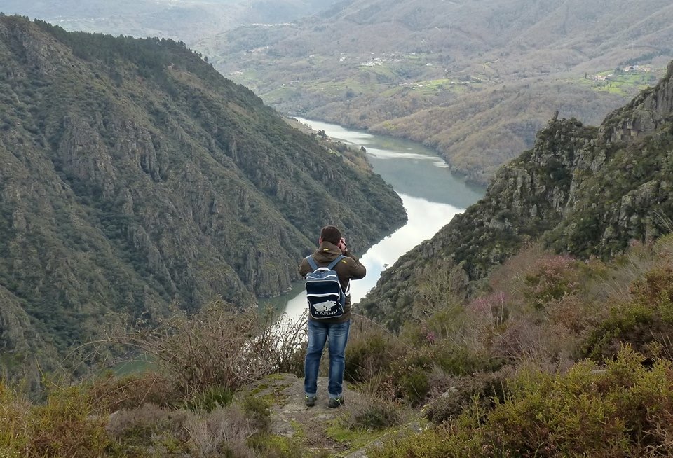 Fran García tweet media