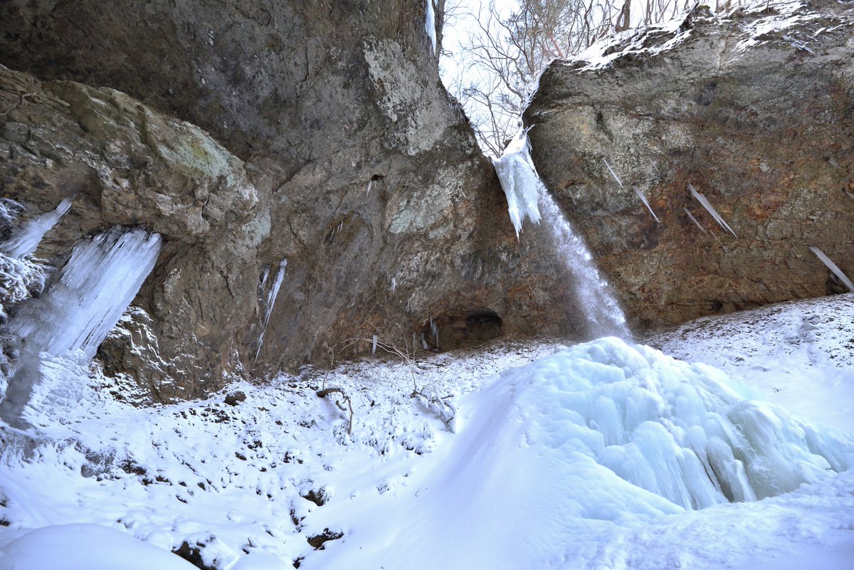 あきたびじょん tweet media