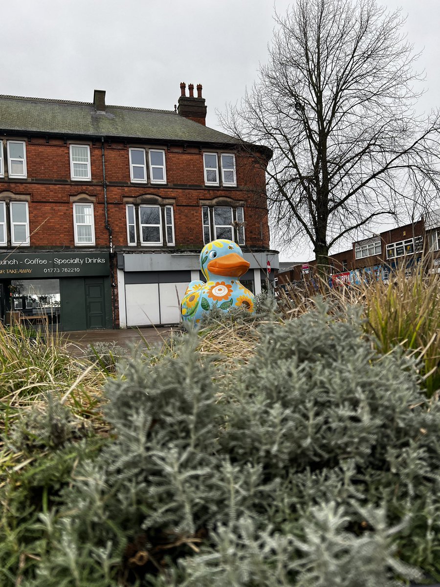 Daniel's Bus Adventures tweet media