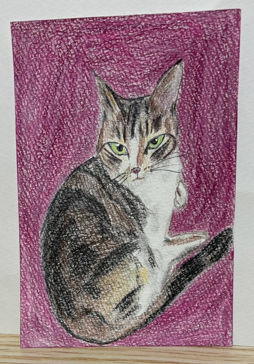 原画 色鉛筆画 猫の絵