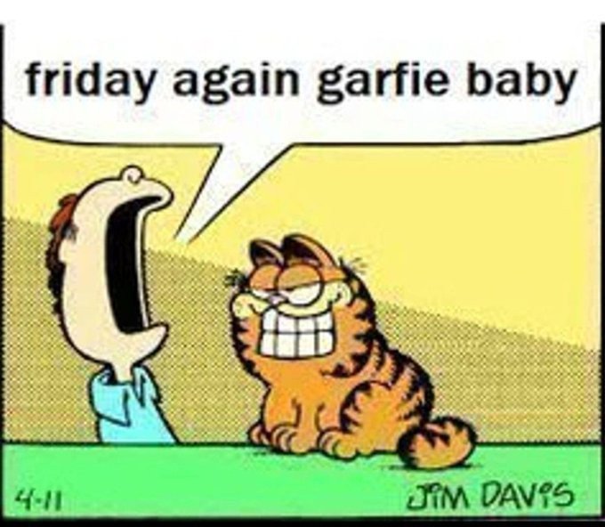 Friday Again (@_garfie_baby) on Twitter photo 
