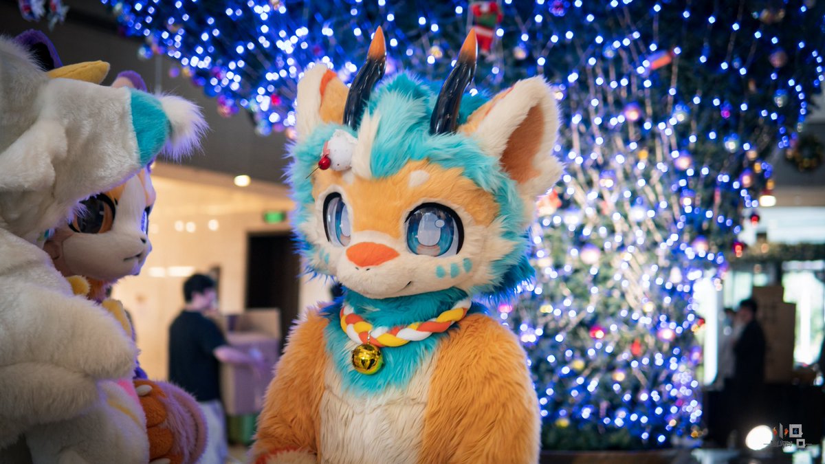 八云🔜Thaitails2026 tweet media