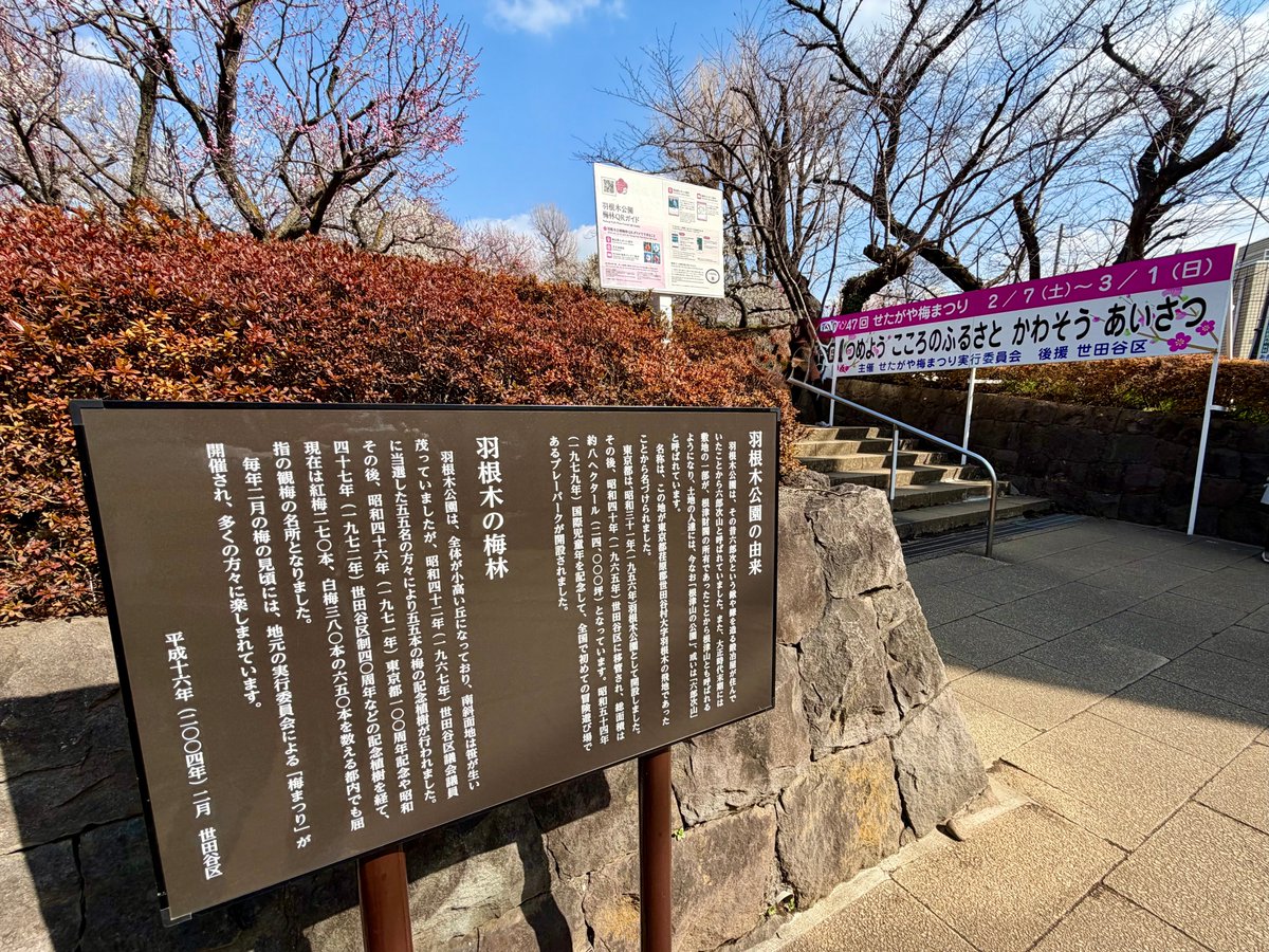 『のCAFE』☕️ご来店ありがとうございました tweet media