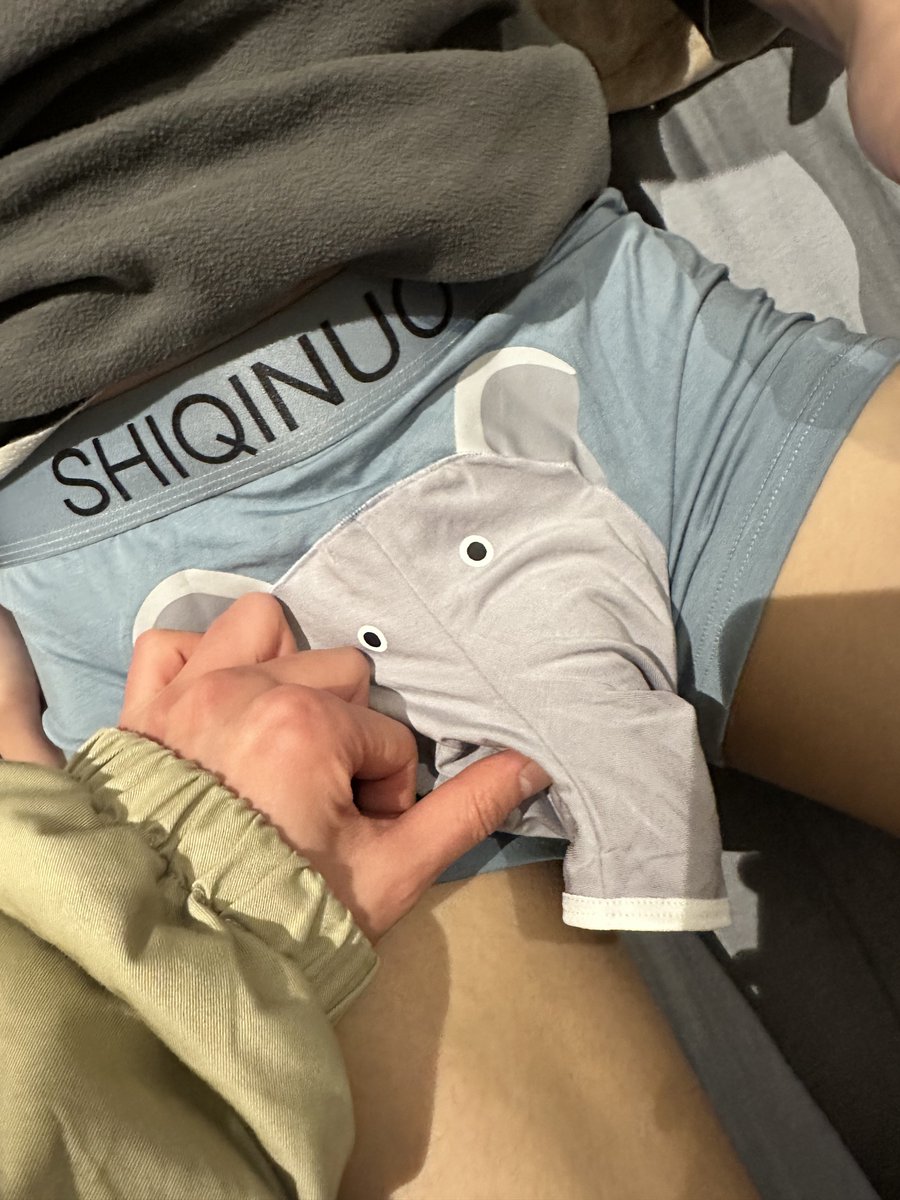 Condensed_Milke's tweet photo. 大象大象 你的鼻子为什么那么长🐘 https://t.co/W2knAATel6