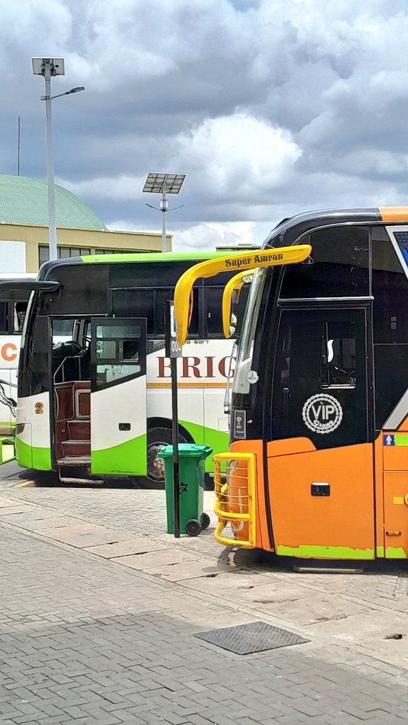 mysafari Tanzania tweet media