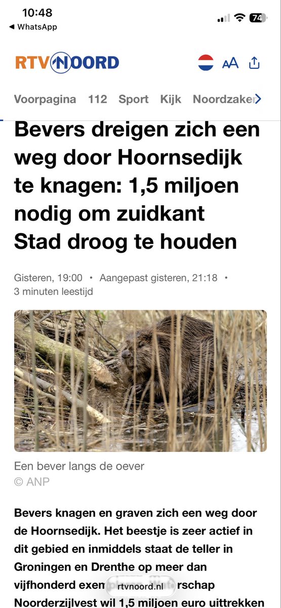 Voor 100 mln een waterberging aanleggen om de stad Groningen droog te houden en dan vervolgens bevers uitzetten! 🙈🙈
Nederlandse bestuurders kunnen dat.