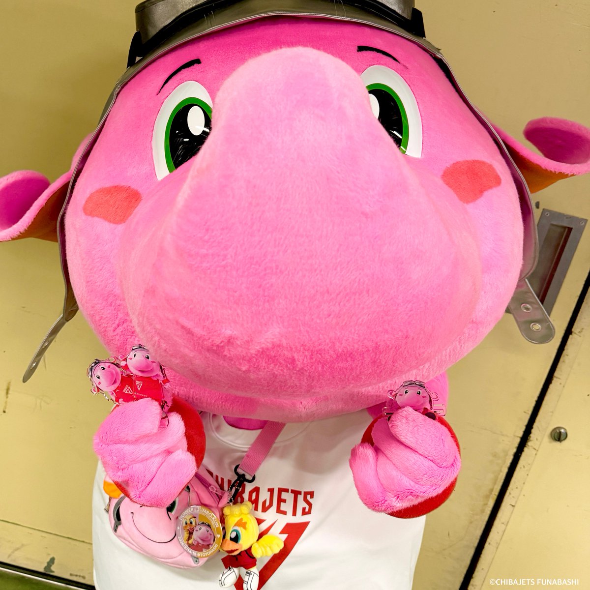 公式】千葉ジェッツ グッズ (@CHIBAJETS_store) / Posts / X