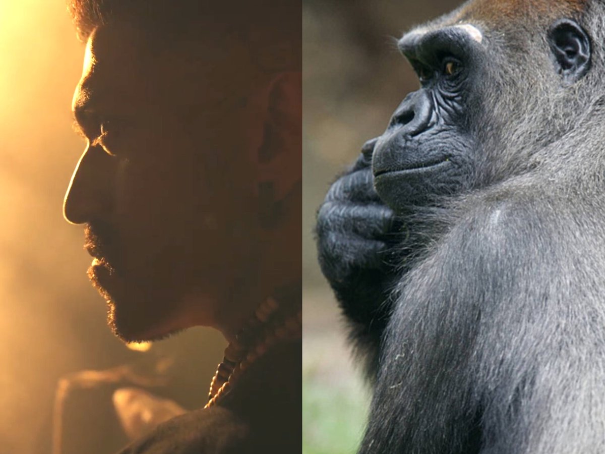 𝙏𝙤𝙥𝙞𝙬𝙖𝙡𝙖🎩ᶜˢᵏ tweet media