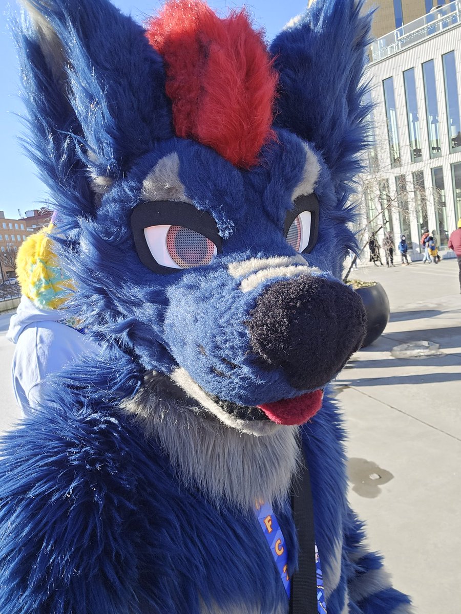 Wolfgang tweet media