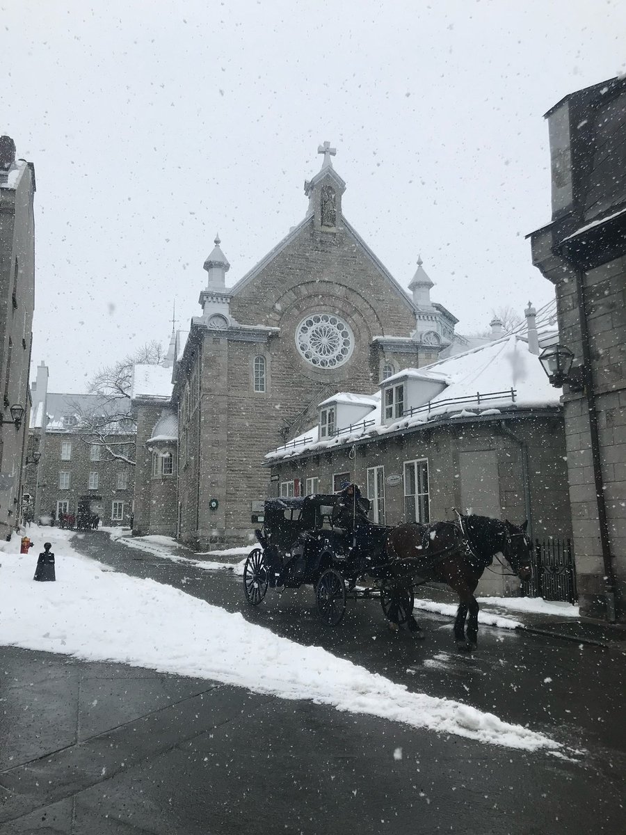 ゆかち｜自分らしく働く女性へ🕊 tweet media