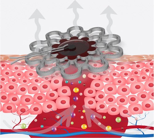 Koç Üniversitesi tweet media