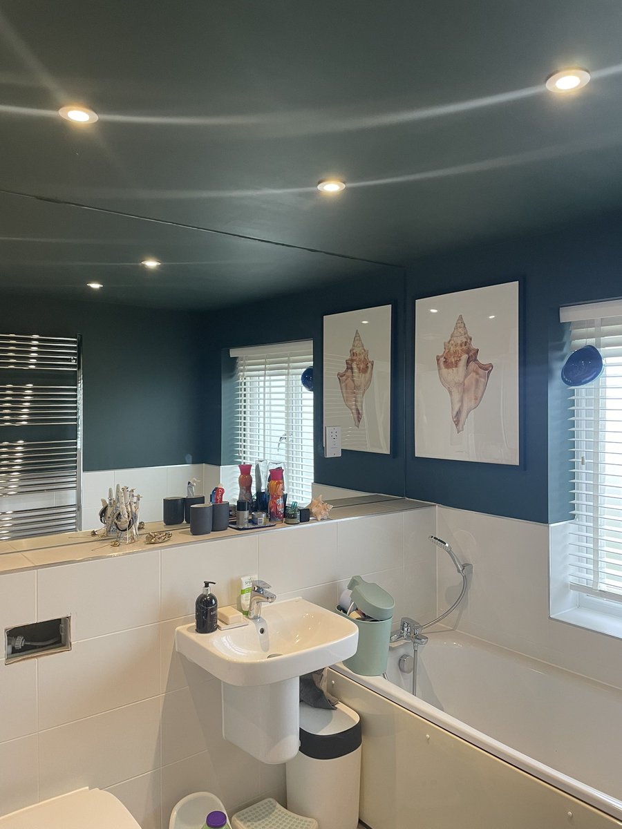 The Alpine Painter tweet media