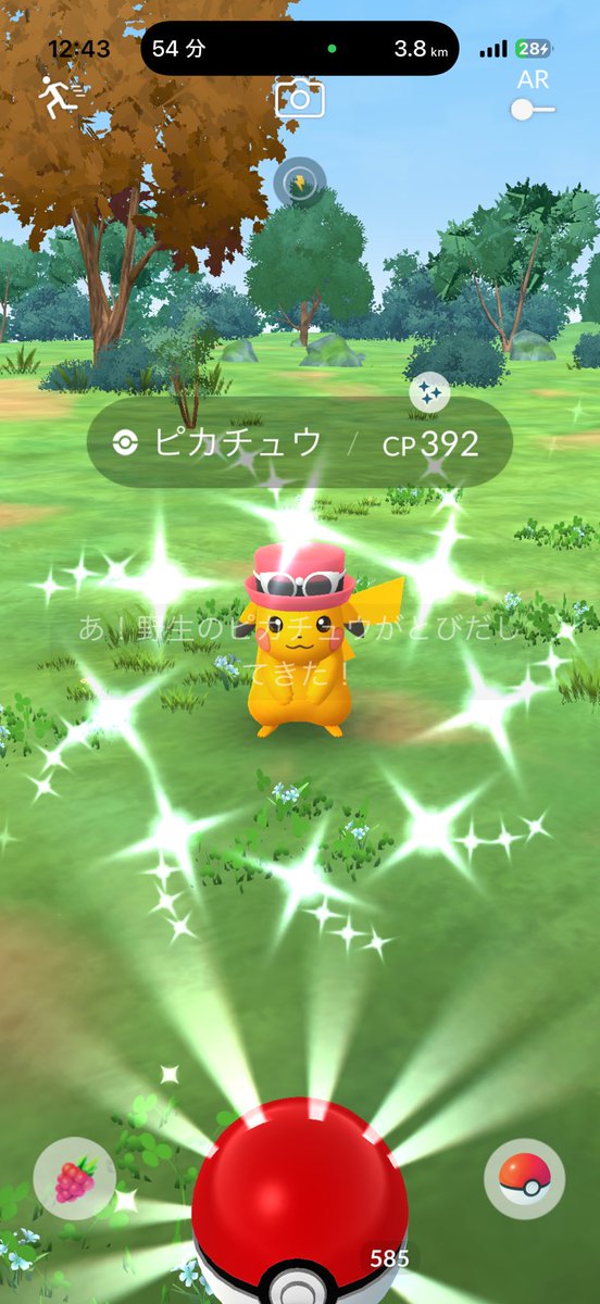 アンドリュウ@ピカDJ tweet media