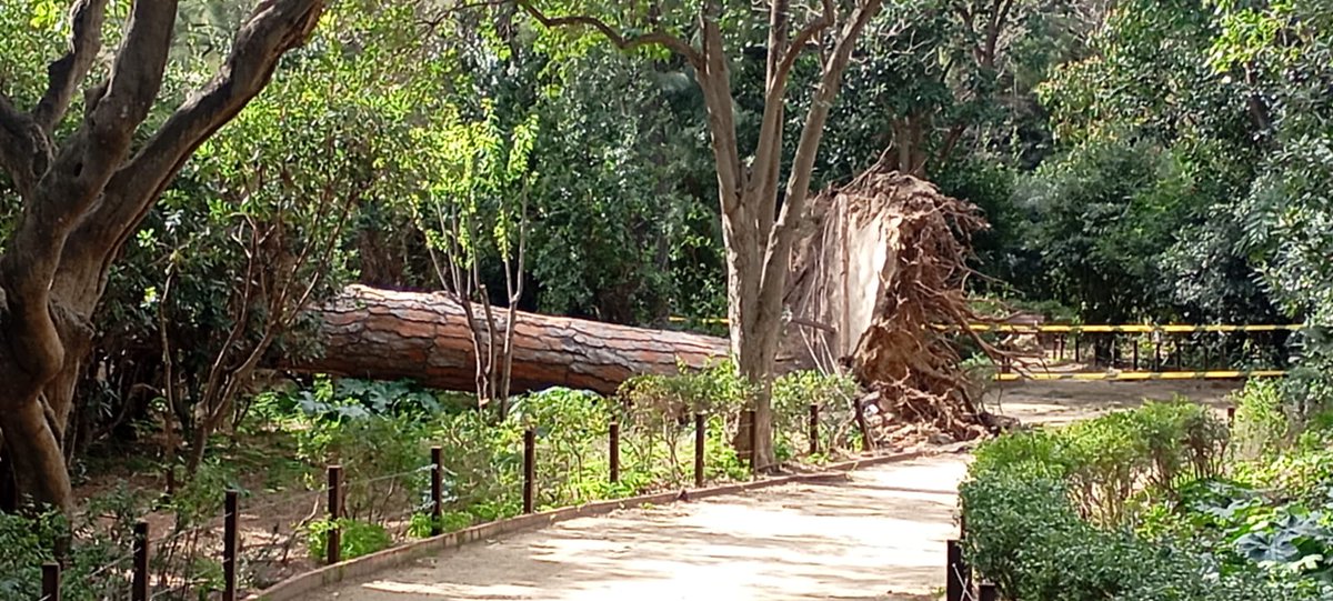 Defensemcalarnus tweet media