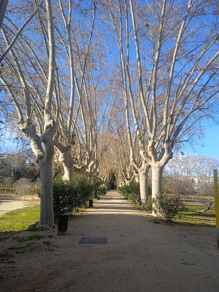 Defensemcalarnus tweet media