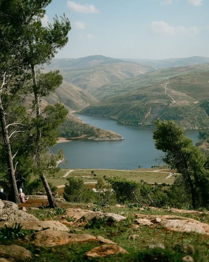 زوروا الأردن tweet media