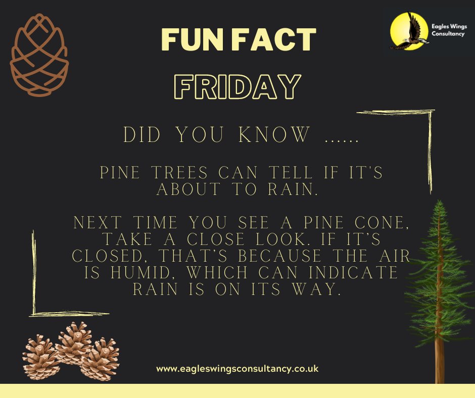 John McDonald tweet media