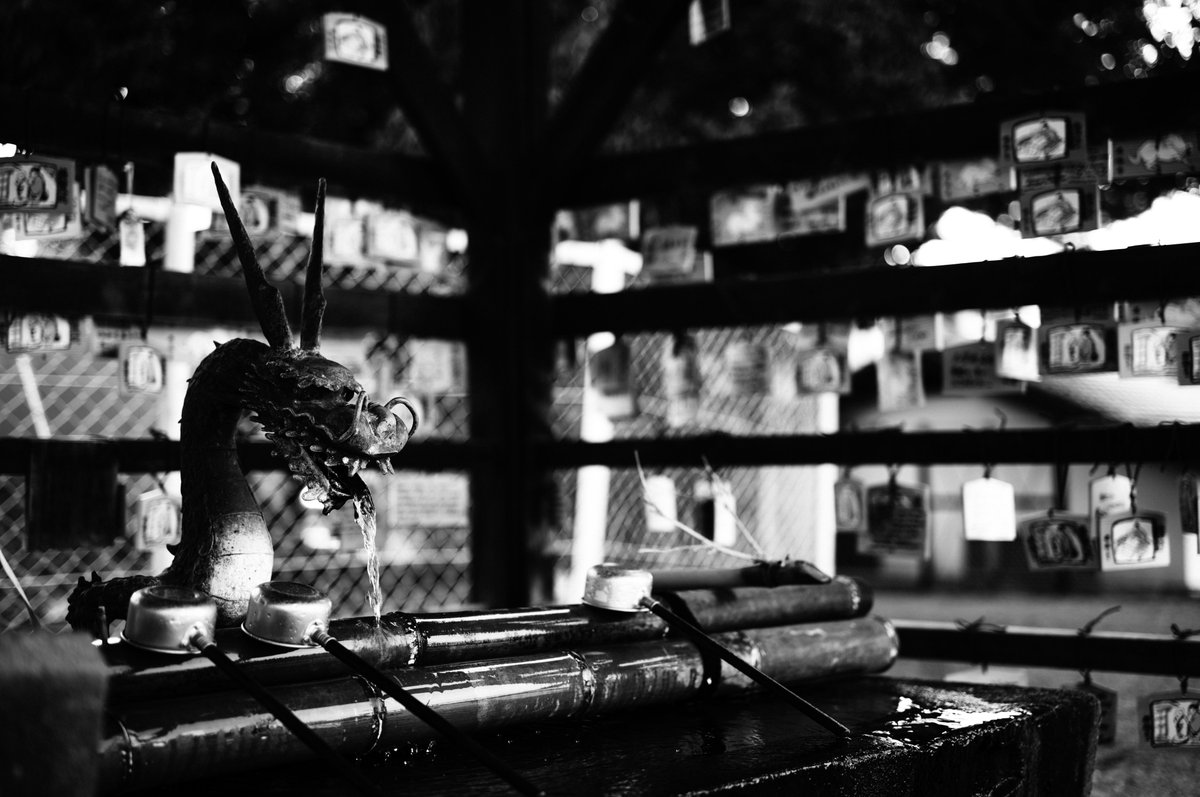 みかづき (@mic_azuki) / Posts / X