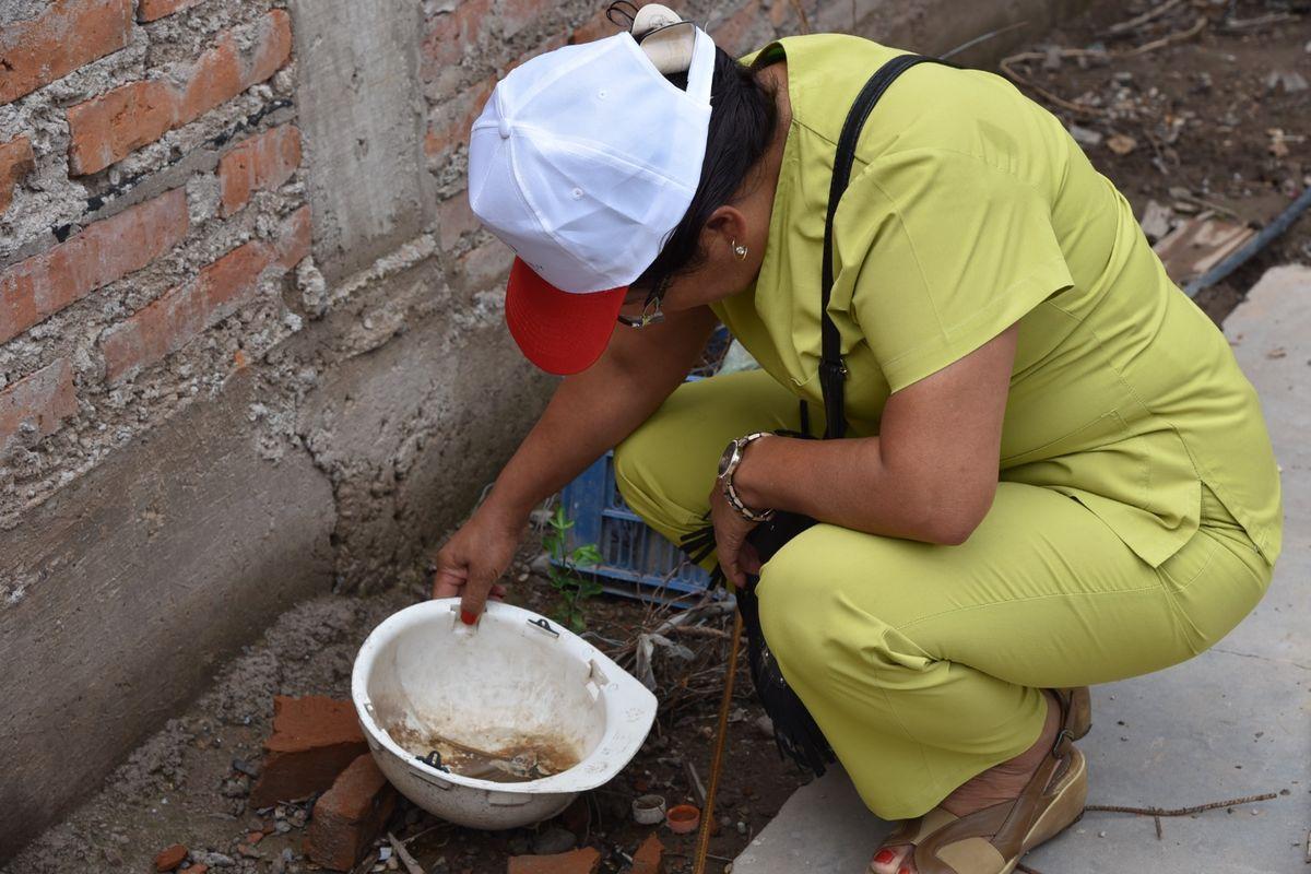 Salud refuerza el cuidado comunitario con operativos de descacharrado en barrios de San Salvador de Jujuy
jujuyaldia.com.ar/2026/02/20/sal…