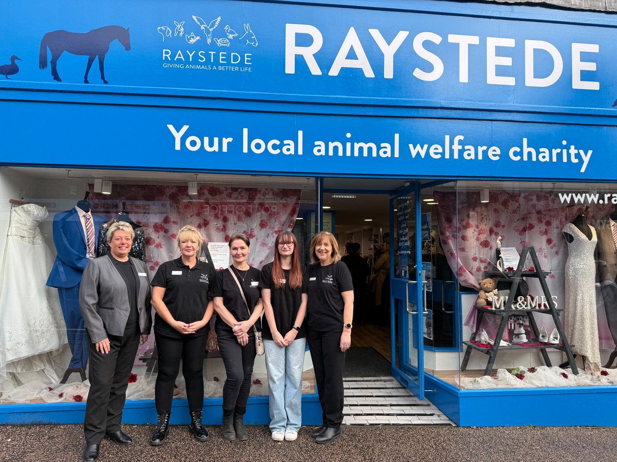 Raystede tweet media