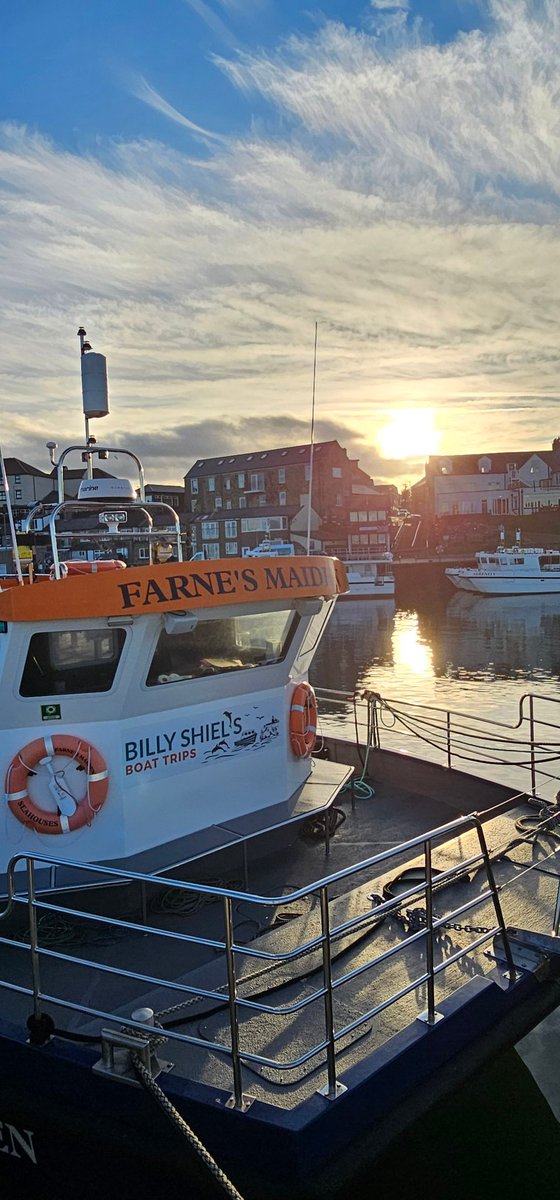 Northstar tweet media