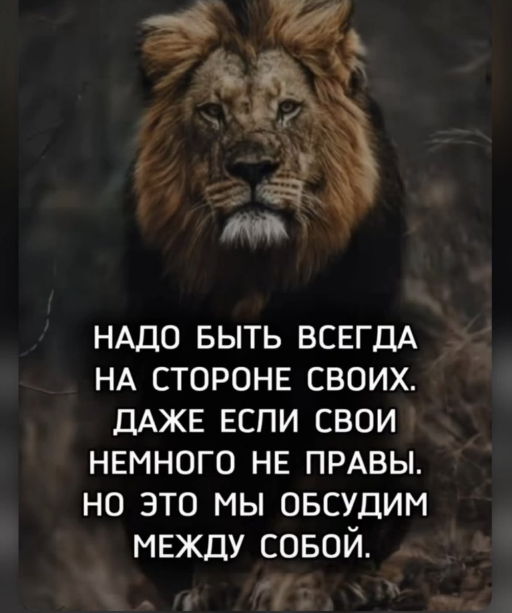 TDarkhanov's tweet photo. Согласен на 100%. Он, конечно, сукин сын, но он наш сукин сын — сами между собой разберёмся. Так и должно быть везде и всегда. Это база https://t.co/UWPCT5L1wb