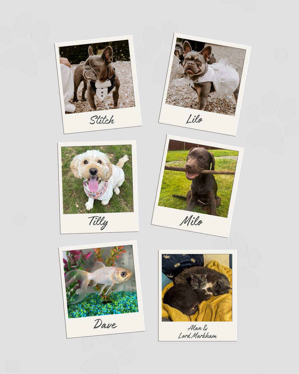 Running Imp tweet media