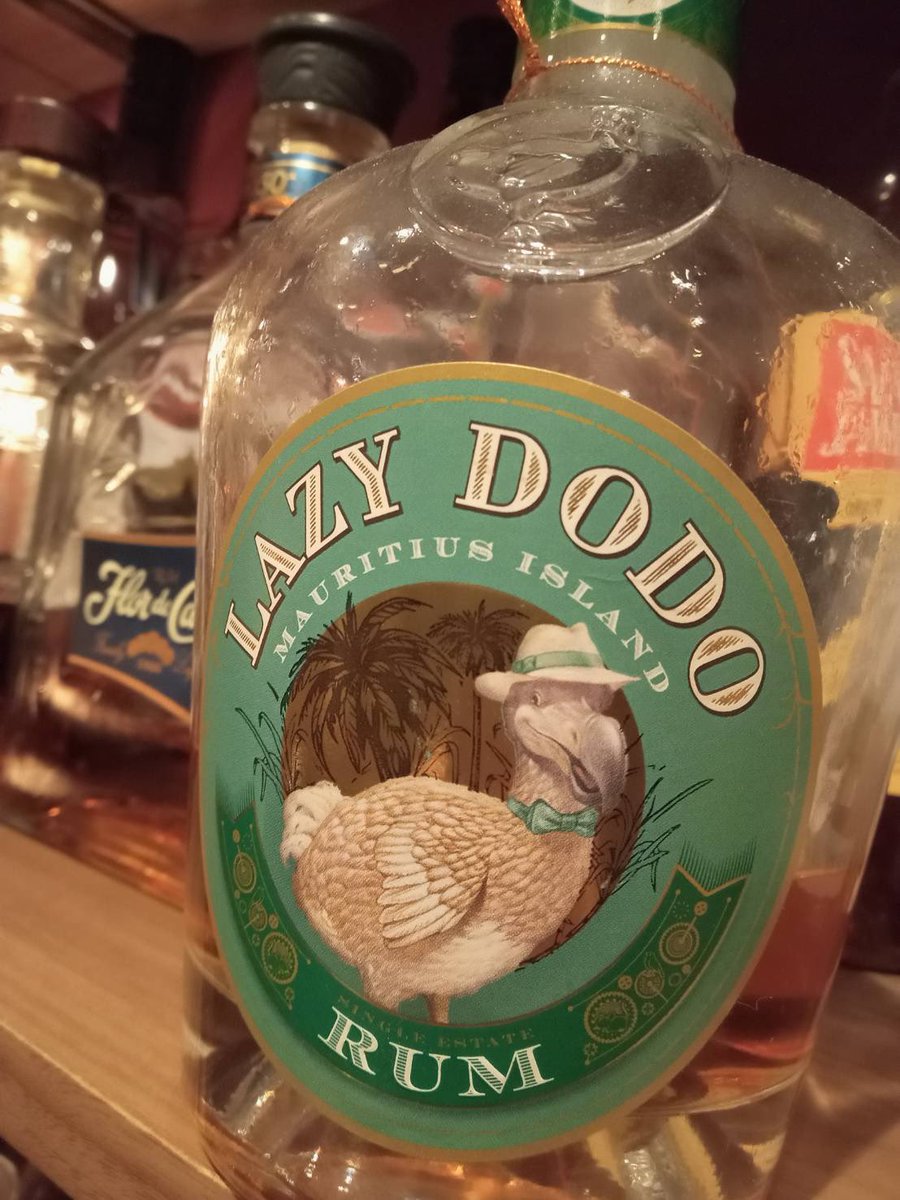 2/20(金)シュレディンガーの猫
オープンしました。

にんにんと途中からゆんもお待ちしております🐈‍⬛

2/22(日)は猫の日！
がっちゃんゲストです！