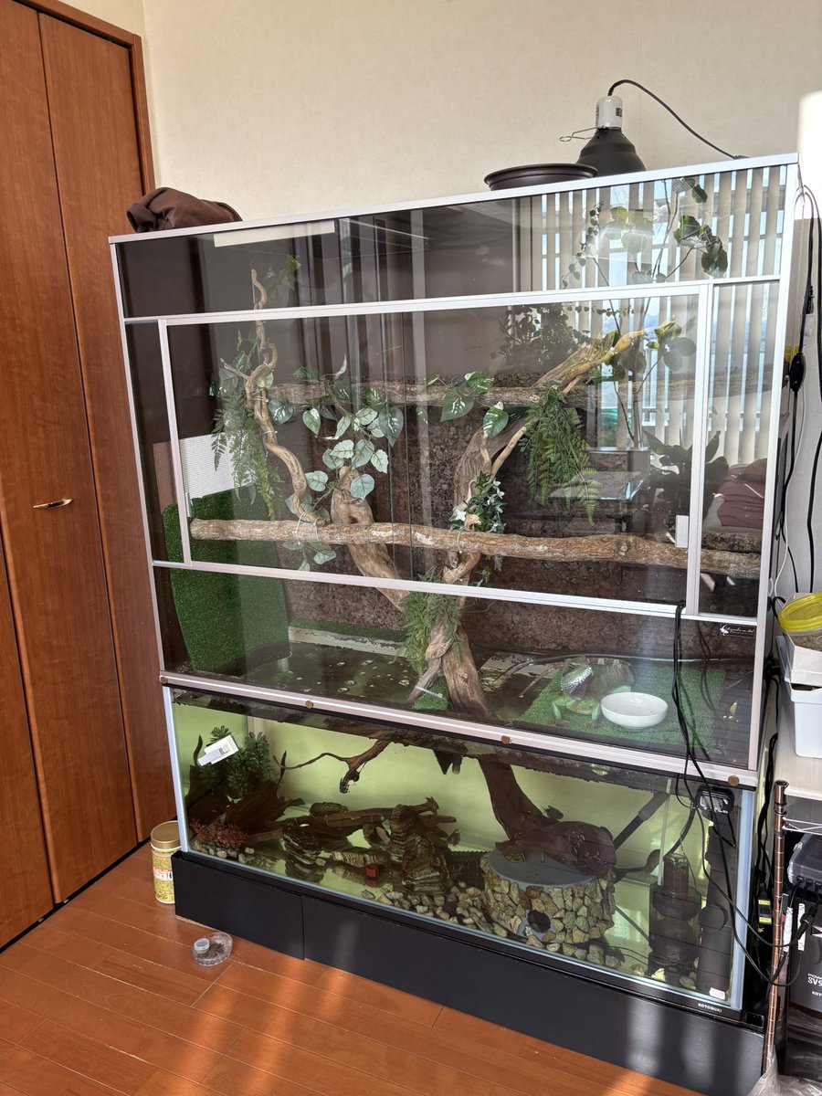 かなり遅くなりましたが 昨年末に配達でのお引渡しのお客様で 今迄にご