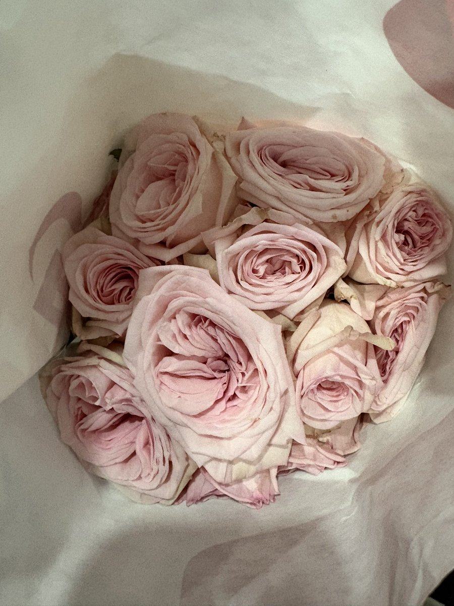 D for Daffodils 🌼 tweet media