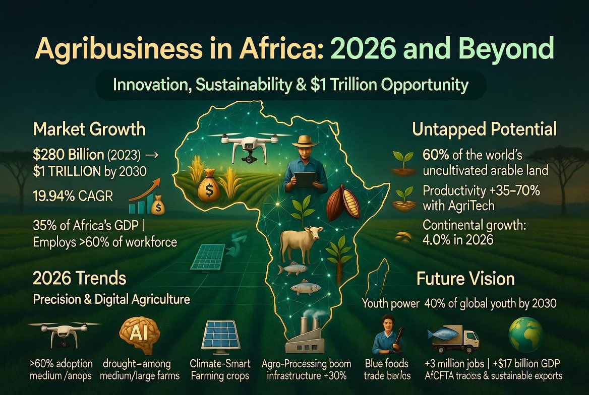 Agribusiness in Africa 2026: Feeding a Continent, Powering Growth

Africa’s agribusiness is the continent’s largest employer and economic engine in 2026. It supports over 60% of the workforce, contributes 15-25% of GDP, and operates on 60% of the world’s remaining uncultivated