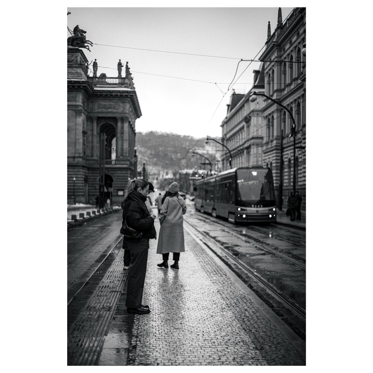 Tikuwa (@tikuwa_camera) on Twitter photo 