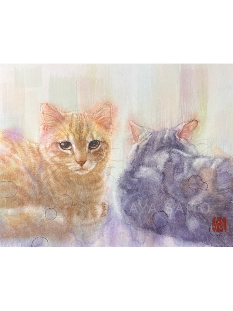 そっと傍らに」 透明水彩 F0 2026 暖かい光の中でひと休み 追い