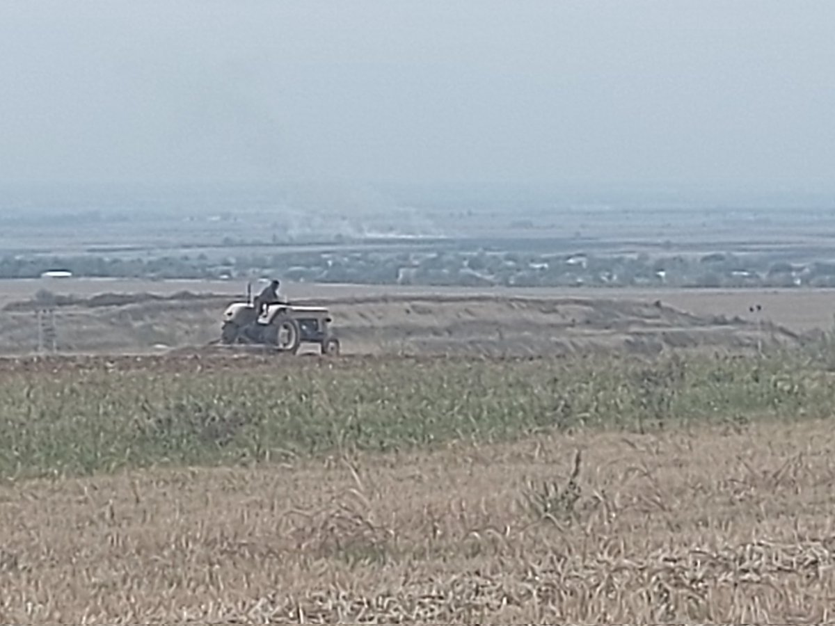 MatthewLB.TGN tweet media