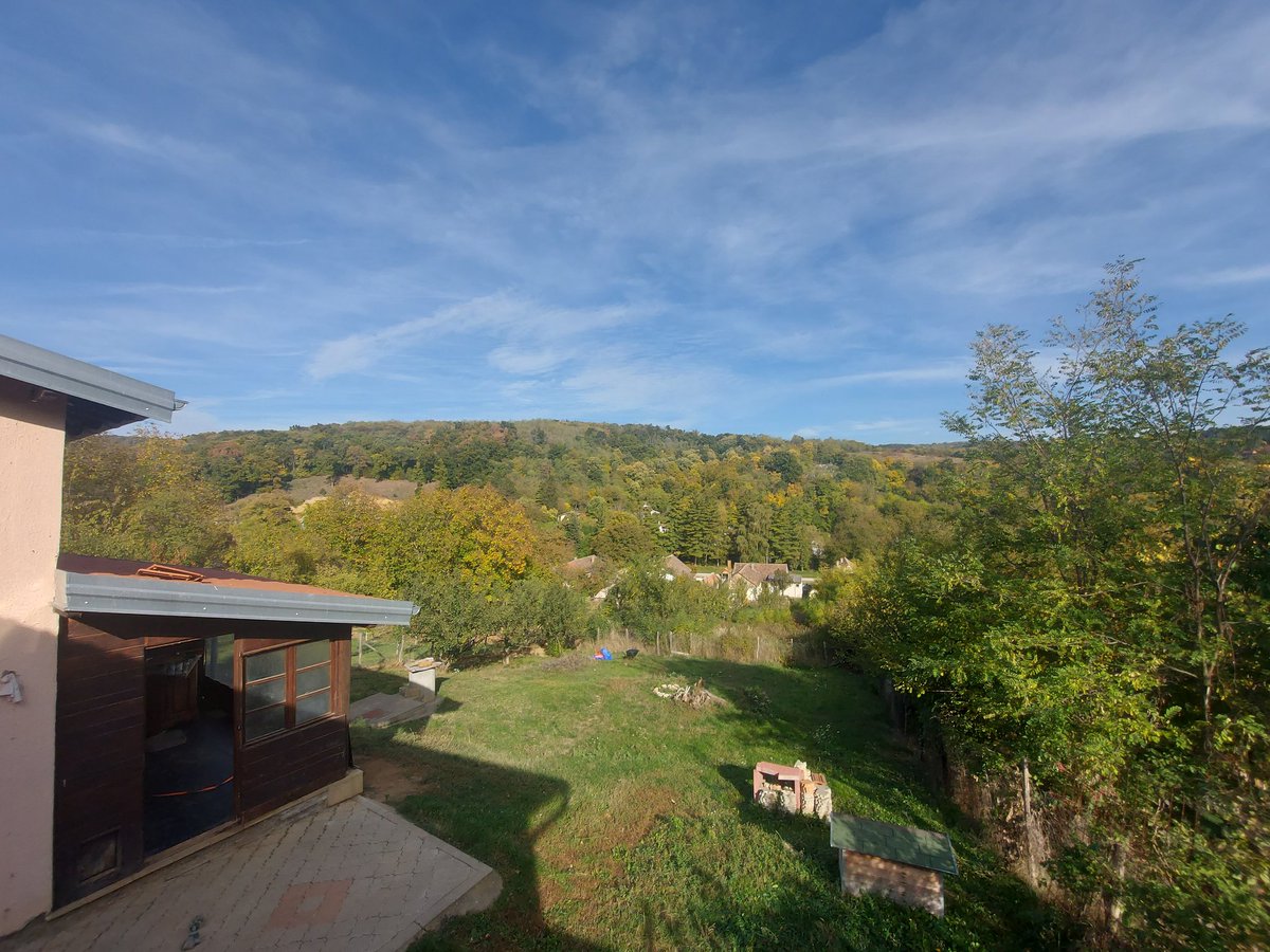 MatthewLB.TGN tweet media