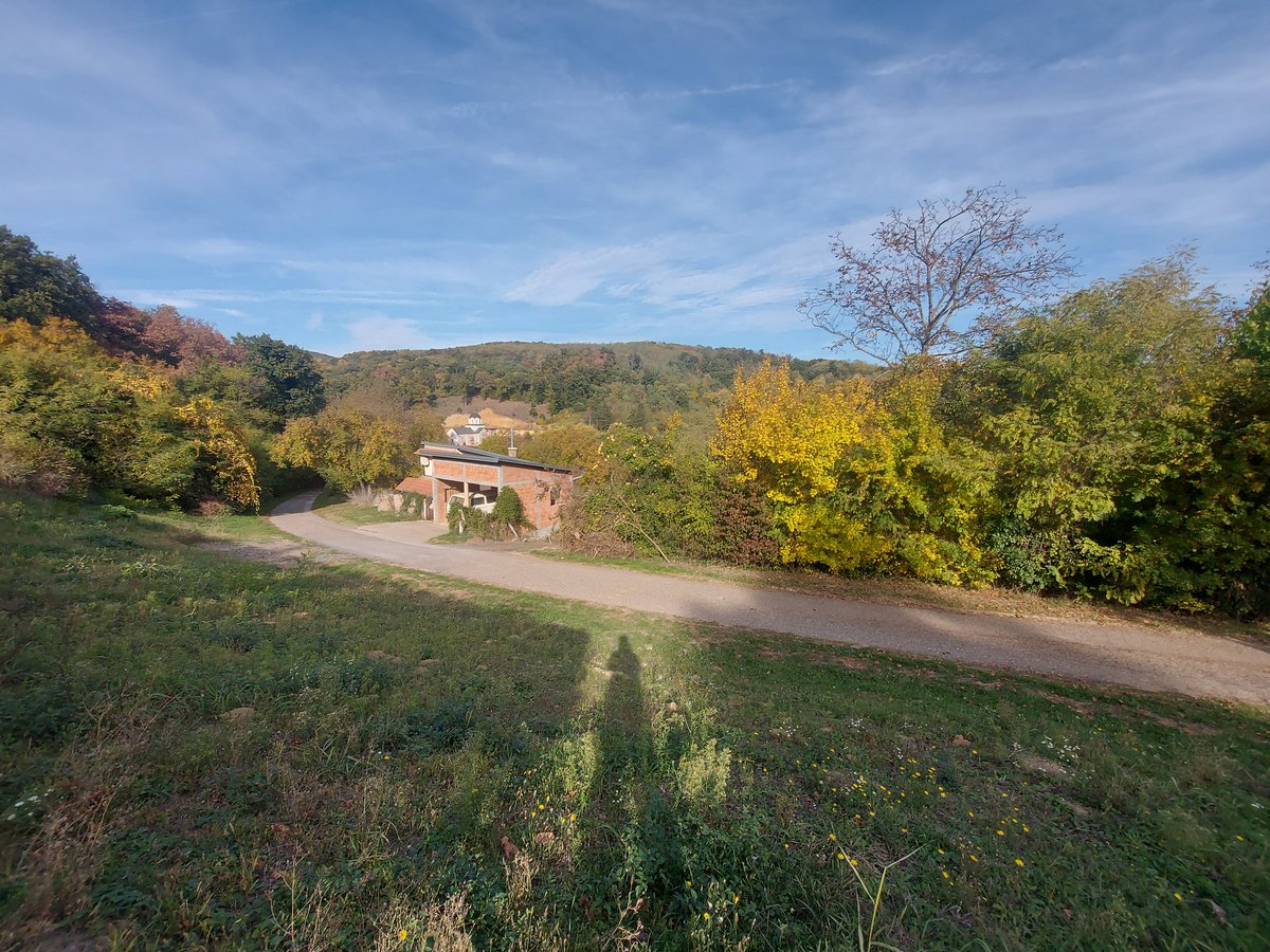 MatthewLB.TGN tweet media