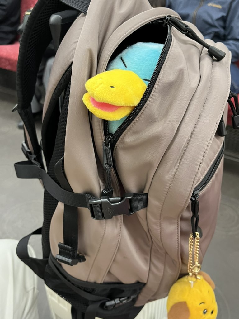 にこにこいぬ (@hellodog_0120) on Twitter photo 