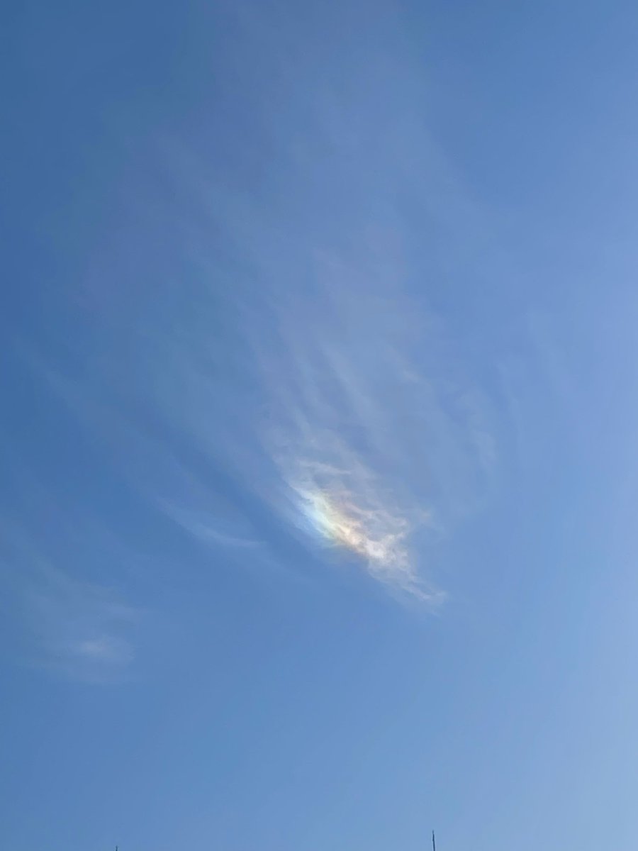 ruban0405's tweet photo. 久しぶりに
彩雲が見れました♪
#彩雲 https://t.co/MgxzONpZxP