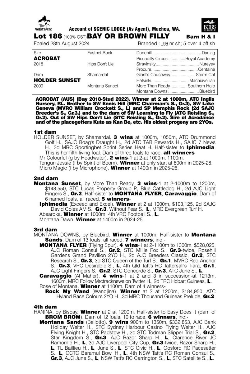 Michael Lane Racing tweet media