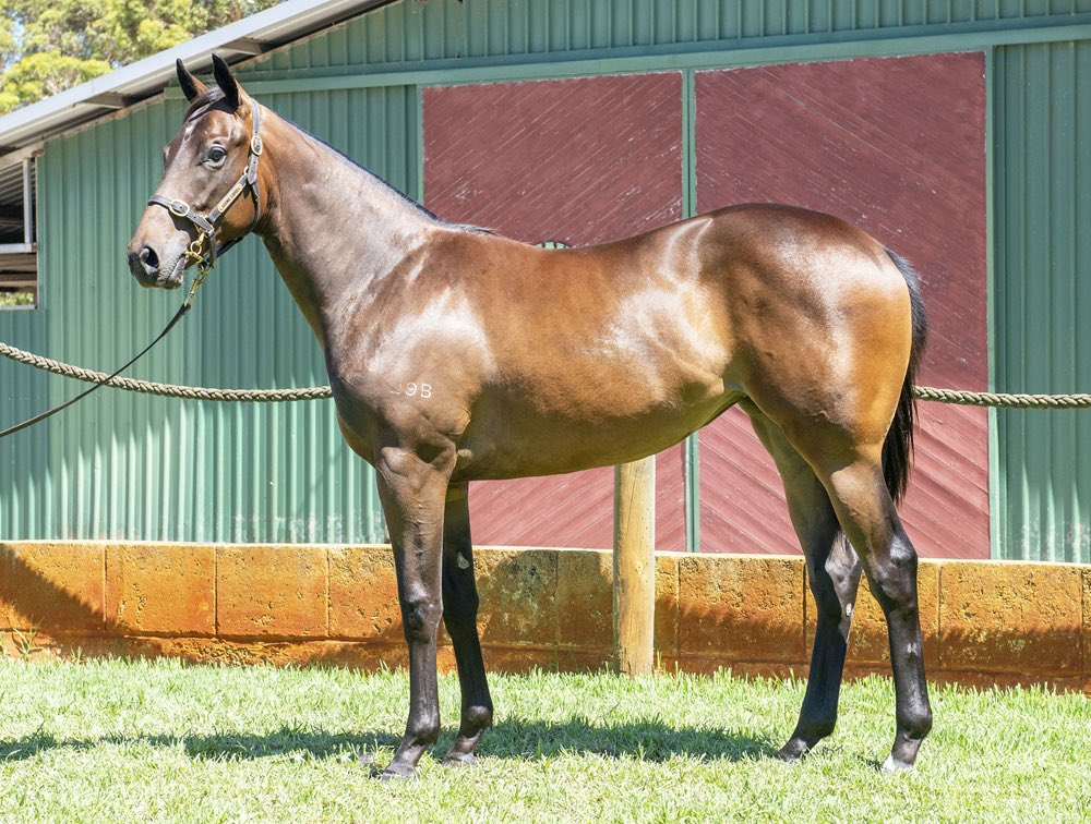 Michael Lane Racing tweet media