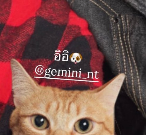 14 กุมภาปีหน้า ป้าจองให้คู่นี้น้าา