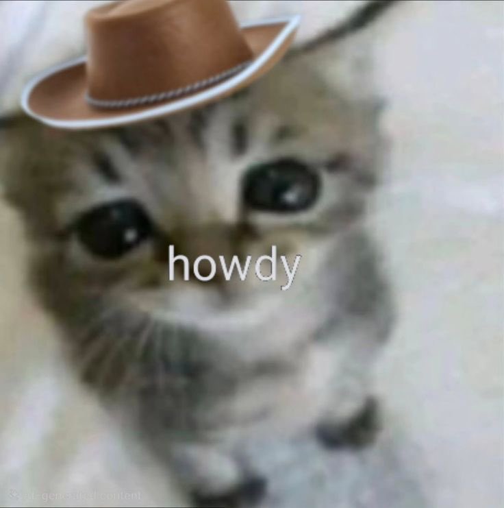 iv started listening to country music recently,, buying cowboy hat and a horse soon