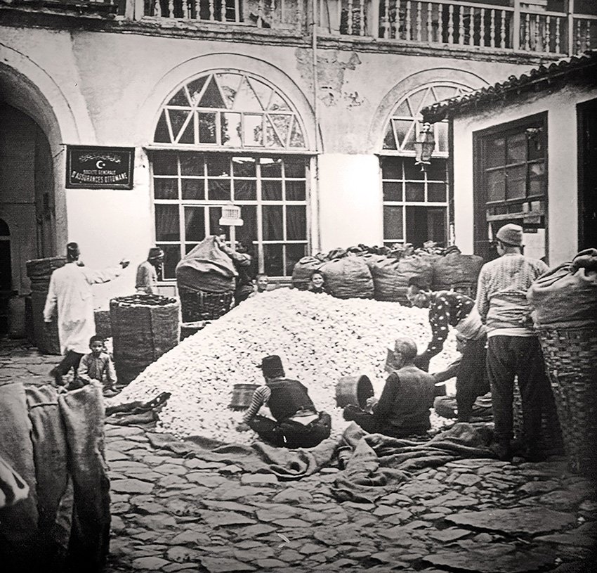 kopukbaglar tweet media